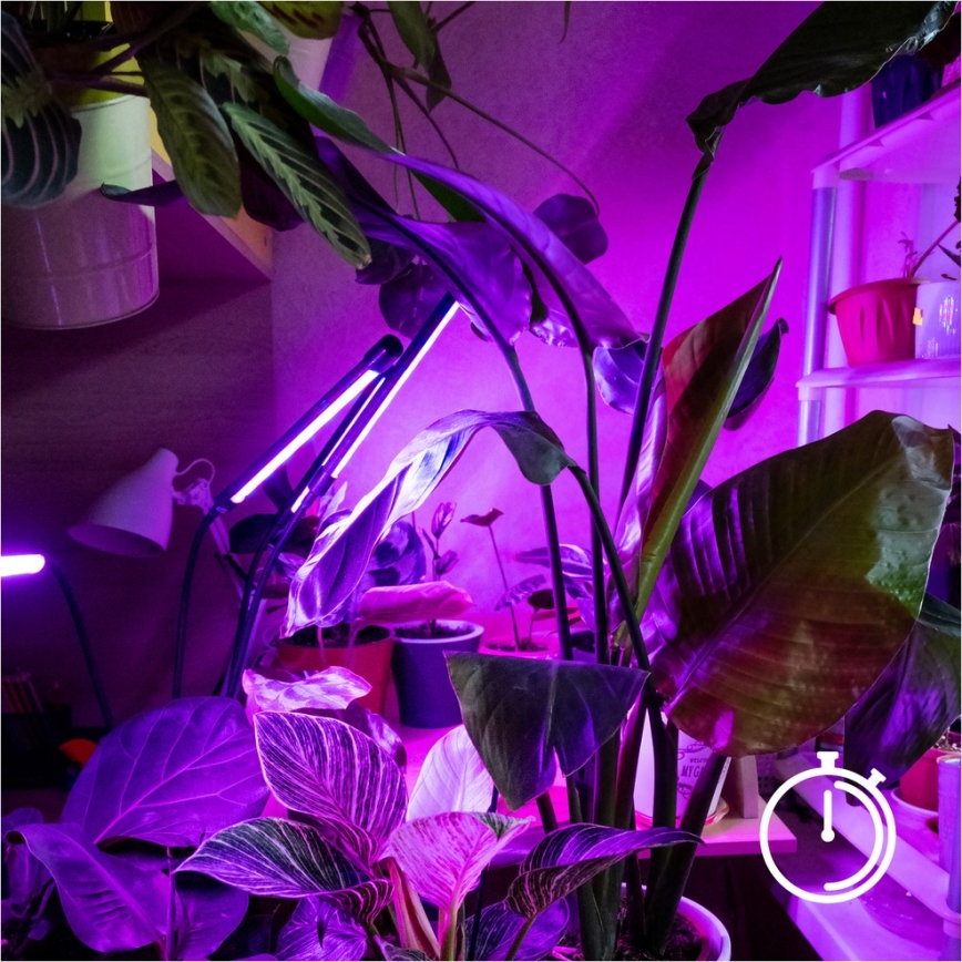 LED Stmívatelná flexibilní stojací lampa pro pěstování rostlin VITARO 4xLED/7,5W/230V černá