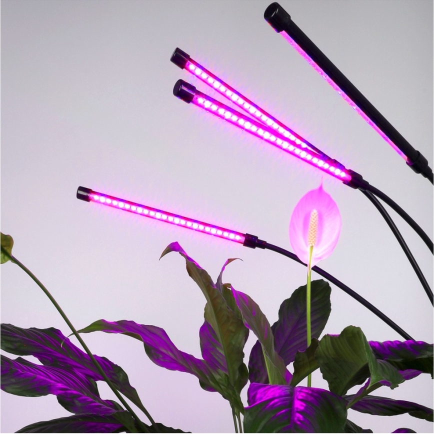 LED Stmívatelná flexibilní stojací lampa pro pěstování rostlin VITARO 4xLED/7,5W/230V černá