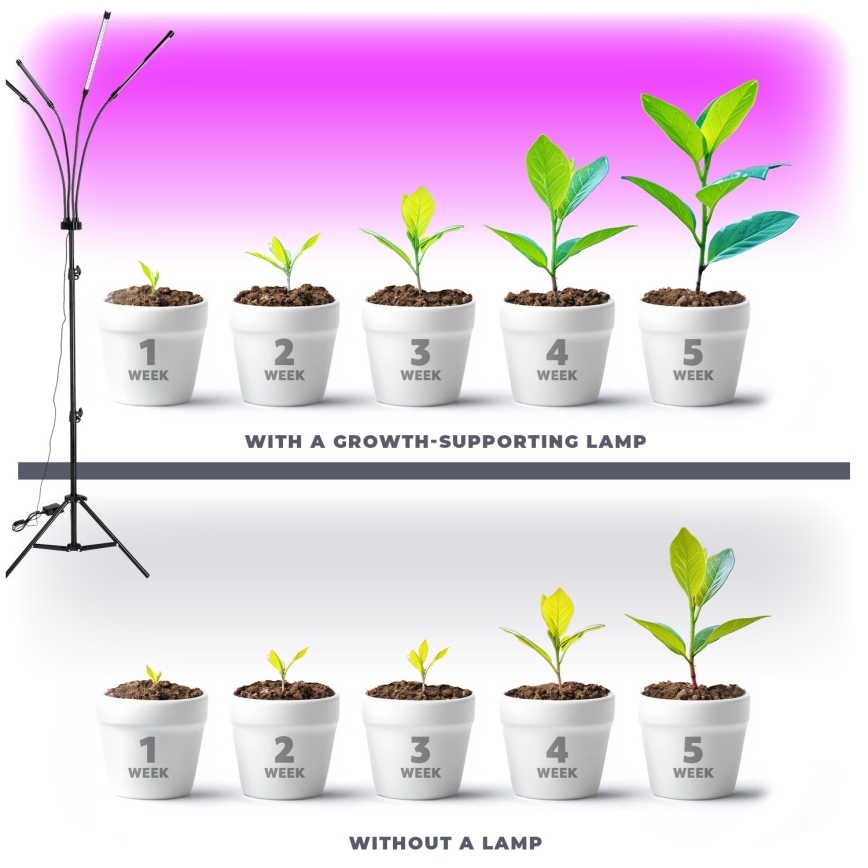 LED Stmívatelná flexibilní stojací lampa pro pěstování rostlin VITARO 4xLED/7,5W/230V černá
