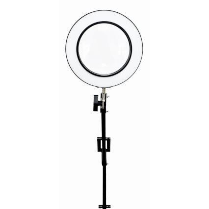 LED Stmívatelná stolní lampa s lupou LED/10W/230V 3000/4500/6000K