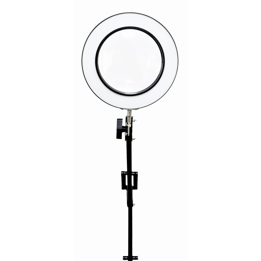 LED Stmívatelná stolní lampa s lupou LED/10W/230V 3000/4500/6000K