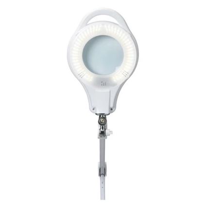 LED Stmívatelná stolní lampa s lupou LED/10W/230V bílá