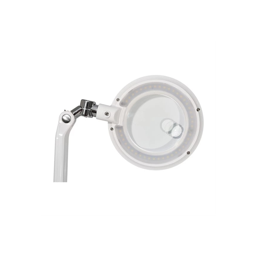 LED Stmívatelná stolní lampa s lupou LED/7W/230V 6500K bílá
