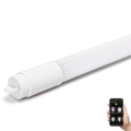 LED Stmívatelná zářivková trubice MESH Smart T8/10W/230V 6500K 60 cm - Aigostar