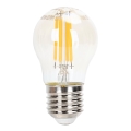 LED Stmívatelná žárovka FILAMENT G45 E27/4W/230V 2200K - Aigostar