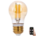 LED Stmívatelná žárovka FILAMENT MESH Smart G45 E27/4,5W/230V 2700-6500K - Aigostar