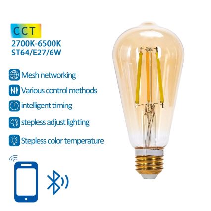 LED Stmívatelná žárovka FILAMENT MESH Smart ST64 E27/6W/230V 2700-6500K - Aigostar