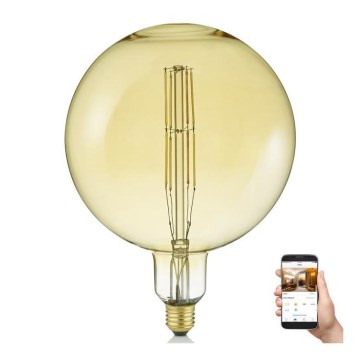 LED Stmívatelná žárovka GLOBE E27/6,5W/230V 2000-5500K Wi-Fi - Reality