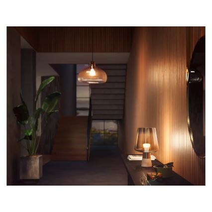 LED Stmívatelná žárovka Philips Hue WHITE E27/13,5W/230V 2700K