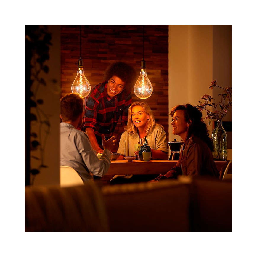 LED Stmívatelná dekorační žárovka VINTAGE DYI E27/4W/230V - Leuchten Direkt 0846