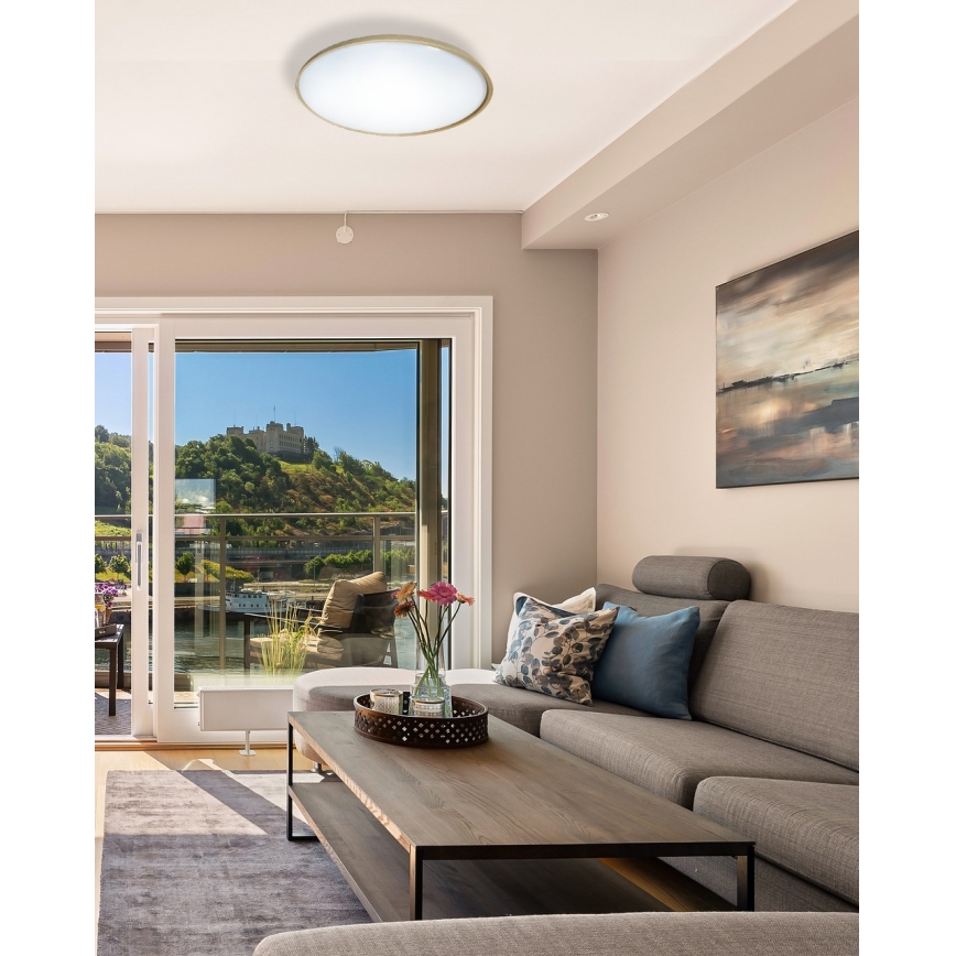 LED Stmívatelné stropní svítidlo DRINA LED/36W/230V 2700-6500K pr. 50 cm + dálkové ovládání