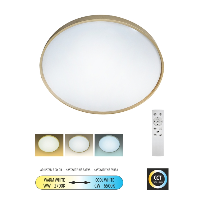 LED Stmívatelné stropní svítidlo DRINA LED/36W/230V 2700-6500K pr. 50 cm + dálkové ovládání