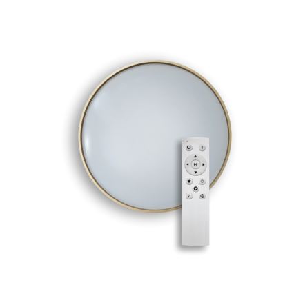 LED Stmívatelné stropní svítidlo DRINA LED/36W/230V 2700-6500K pr. 50 cm + dálkové ovládání