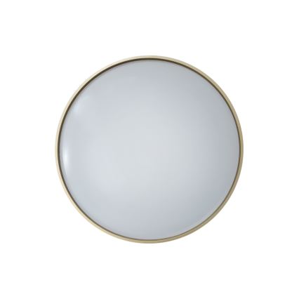 LED Stmívatelné stropní svítidlo DRINA LED/36W/230V 2700-6500K pr. 50 cm + dálkové ovládání
