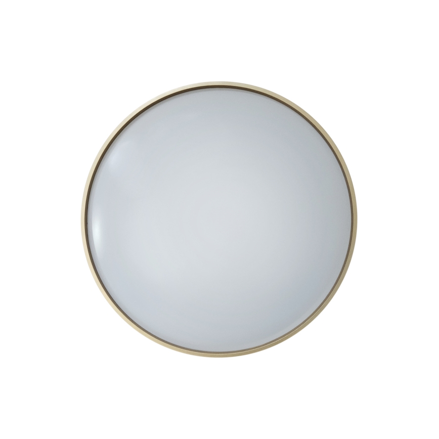 LED Stmívatelné stropní svítidlo DRINA LED/36W/230V 2700-6500K pr. 50 cm + dálkové ovládání