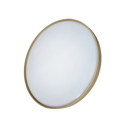 LED Stmívatelné stropní svítidlo DRINA LED/36W/230V 2700-6500K pr. 50 cm + dálkové ovládání
