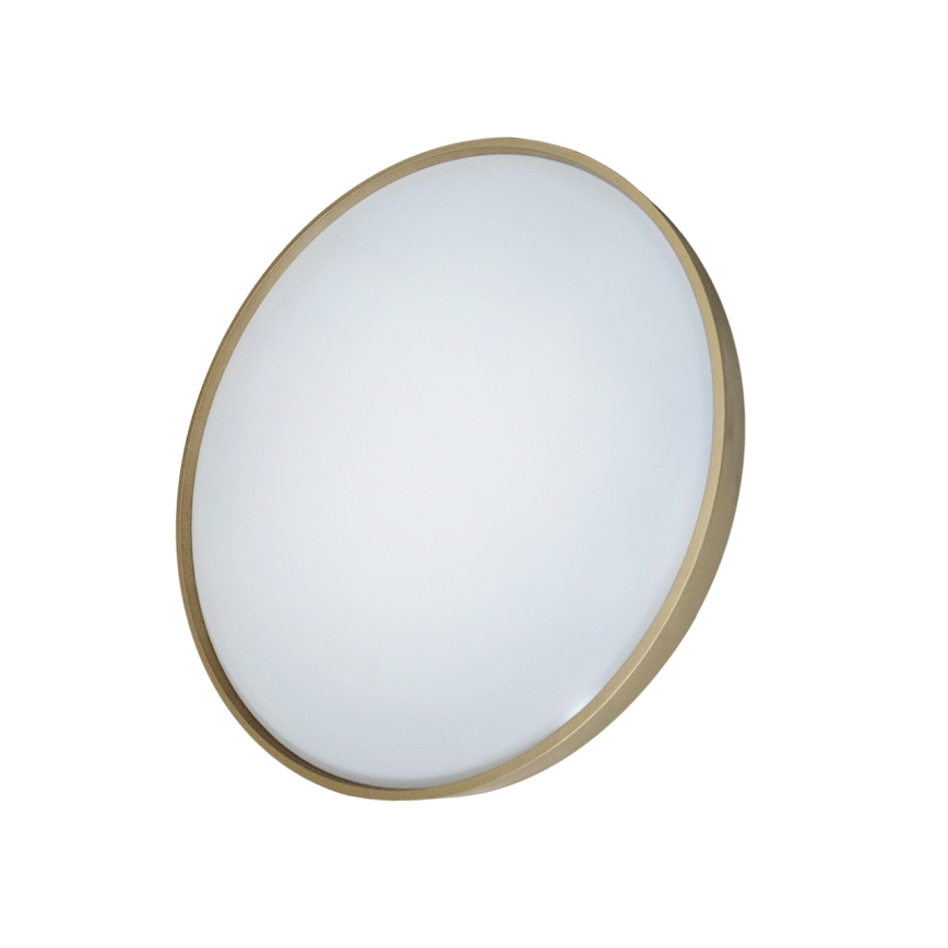 LED Stmívatelné stropní svítidlo DRINA LED/36W/230V 2700-6500K pr. 50 cm + dálkové ovládání
