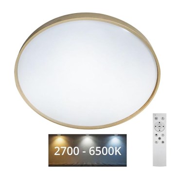 LED Stmívatelné stropní svítidlo DRINA LED/36W/230V 2700-6500K pr. 50 cm + dálkové ovládání