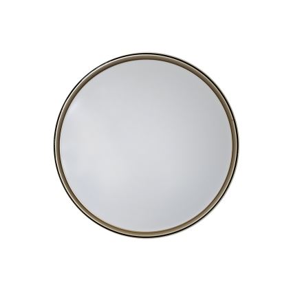 LED Stmívatelné stropní svítidlo EBRO LED/36W/230V 2700-6500K pr. 50 cm + dálkové ovládání