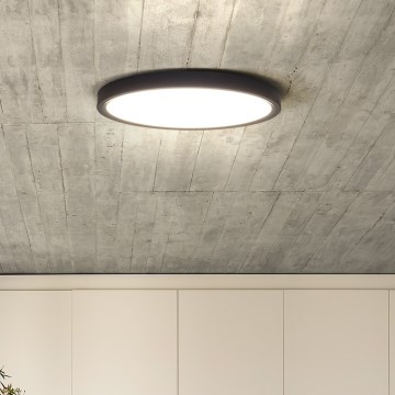 LED Stmívatelné stropní svítidlo ESTELA LED/36W/230V pr.30 cm černá + dálkové ovládání