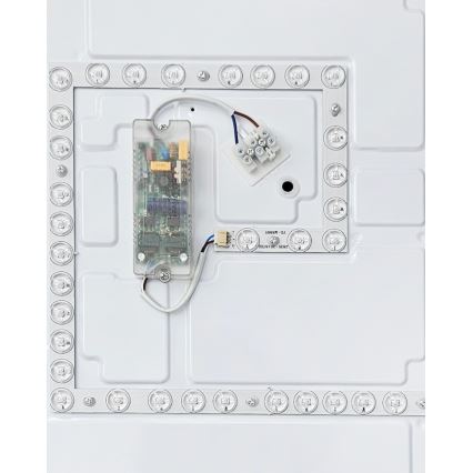 LED Stmívatelné stropní svítidlo FLORA LED/60W/230V 2700-6500K 53x53 cm +dálkové ovládání