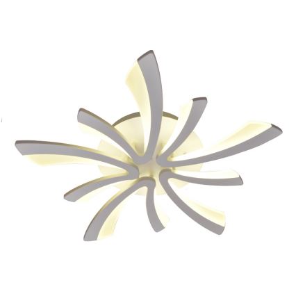 LED Stmívatelné stropní svítidlo FLORANCE 2xLED/50W/230V + dálkové ovládání