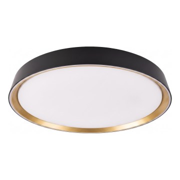 LED Stmívatelné stropní svítidlo ILVI LED/45W/230V 2700-6500K pr. 50 cm černá/béžová + dálkové ovládání