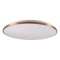 LED Stmívatelné stropní svítidlo KERN LED/100W/230V 3000/4000/6000K pr. 100 cm zlatá + dálkové ovládání