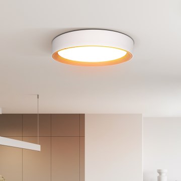 LED Stmívatelné stropní svítidlo LARIOS LED/48W/230V 3000-6500K pr.39 cm bílá+ dálkové ovládání