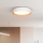 LED Stmívatelné stropní svítidlo LARIOS LED/48W/230V 3000-6500K pr.39 cm bílá+ dálkové ovládání
