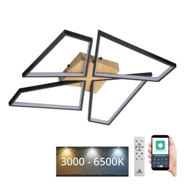 LED Stmívatelné stropní svítidlo LED/115W/230V 3000-6500K hnědá/černá + dálkové ovládání