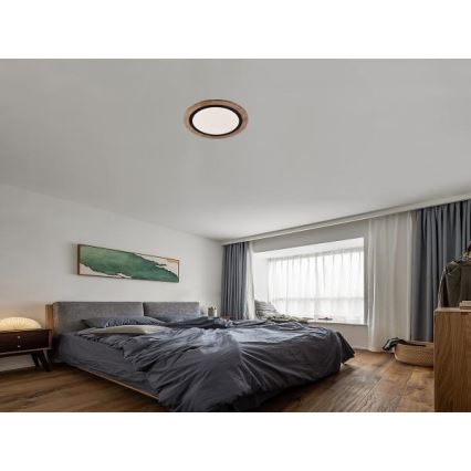 LED Stmívatelné stropní svítidlo LED/25W/230V 3000-6500K + dálkové ovládání