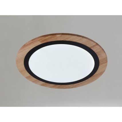 LED Stmívatelné stropní svítidlo LED/25W/230V 3000-6500K + dálkové ovládání