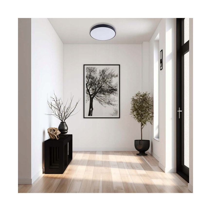LED Stmívatelné stropní svítidlo LED/30W/230V 3000-6500K pr. 30 cm černá + dálkové ovládání