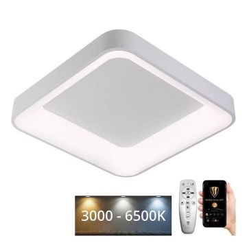 LED Stmívatelné stropní svítidlo LED/45W/230V 3000-6500K bílá + dálkové ovládání