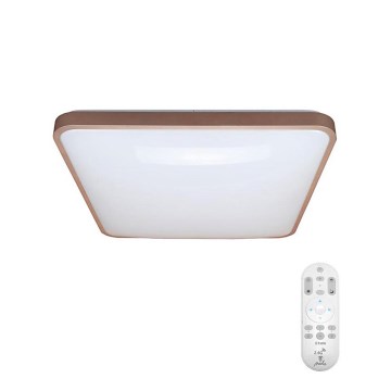 LED Stmívatelné stropní svítidlo LED/50W/230V