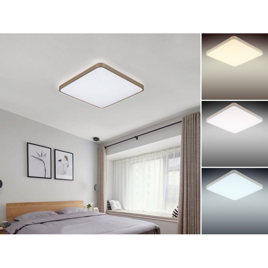 Nedes LC801A/GD/S - LED Stmívatelné stropní svítidlo LED/50W/230V + ZDARMA LED Zářivkové svítidlo LED/36W