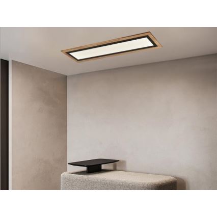 LED Stmívatelné stropní svítidlo LED/55W/230V 3000-6500K + dálkové ovládání