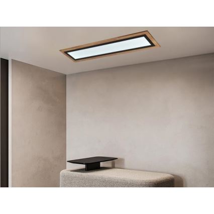 LED Stmívatelné stropní svítidlo LED/55W/230V 3000-6500K + dálkové ovládání