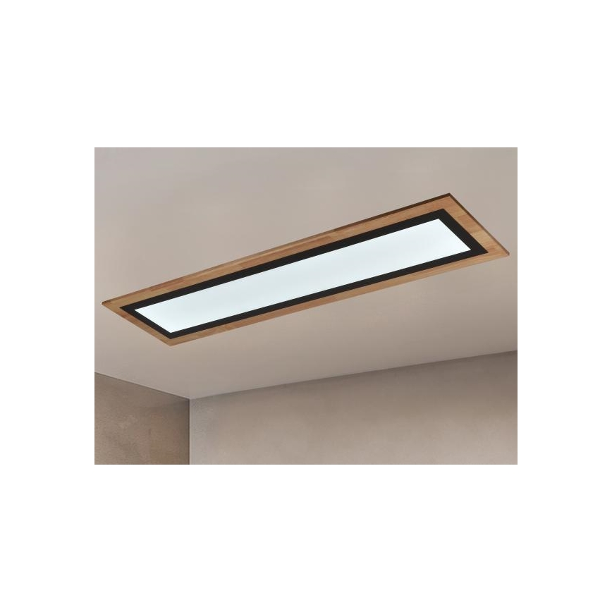 LED Stmívatelné stropní svítidlo LED/55W/230V 3000-6500K + dálkové ovládání