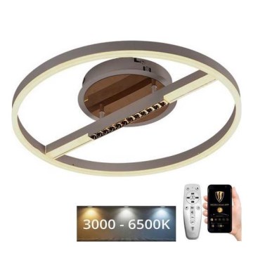LED Stmívatelné stropní svítidlo LED/60W/230V 3000-6500K + dálkové ovládání