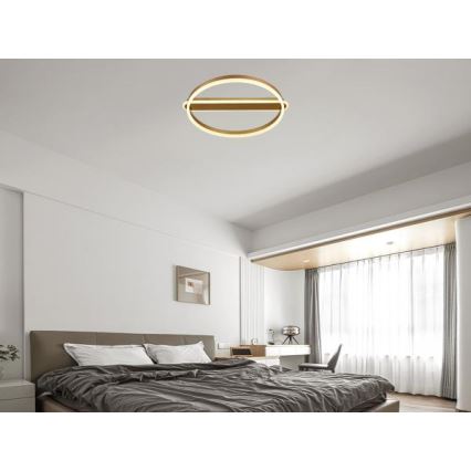 LED Stmívatelné stropní svítidlo LED/60W/230V 3000-6500K + dálkové ovládání