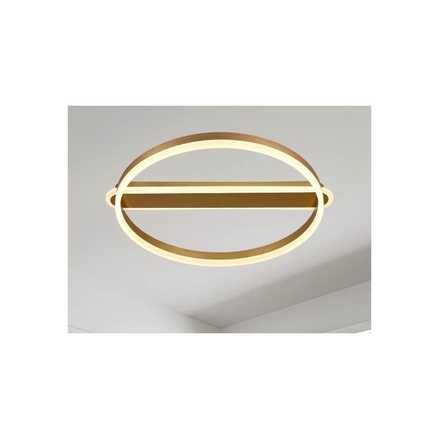 LED Stmívatelné stropní svítidlo LED/60W/230V 3000-6500K + dálkové ovládání