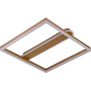 LED Stmívatelné stropní svítidlo LED/60W/230V 3000-6500K + dálkové ovládání