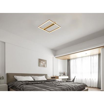LED Stmívatelné stropní svítidlo LED/60W/230V 3000-6500K + dálkové ovládání