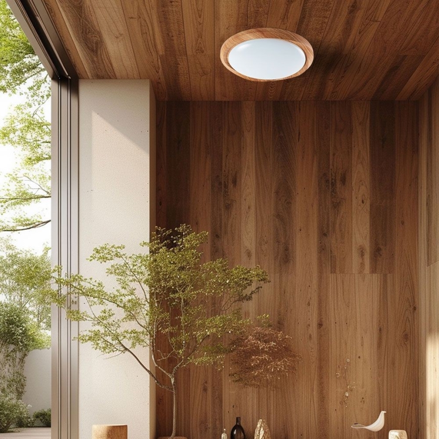 LED Stmívatelné stropní svítidlo LED/60W/230V 3000-6500K + dálkové ovládání
