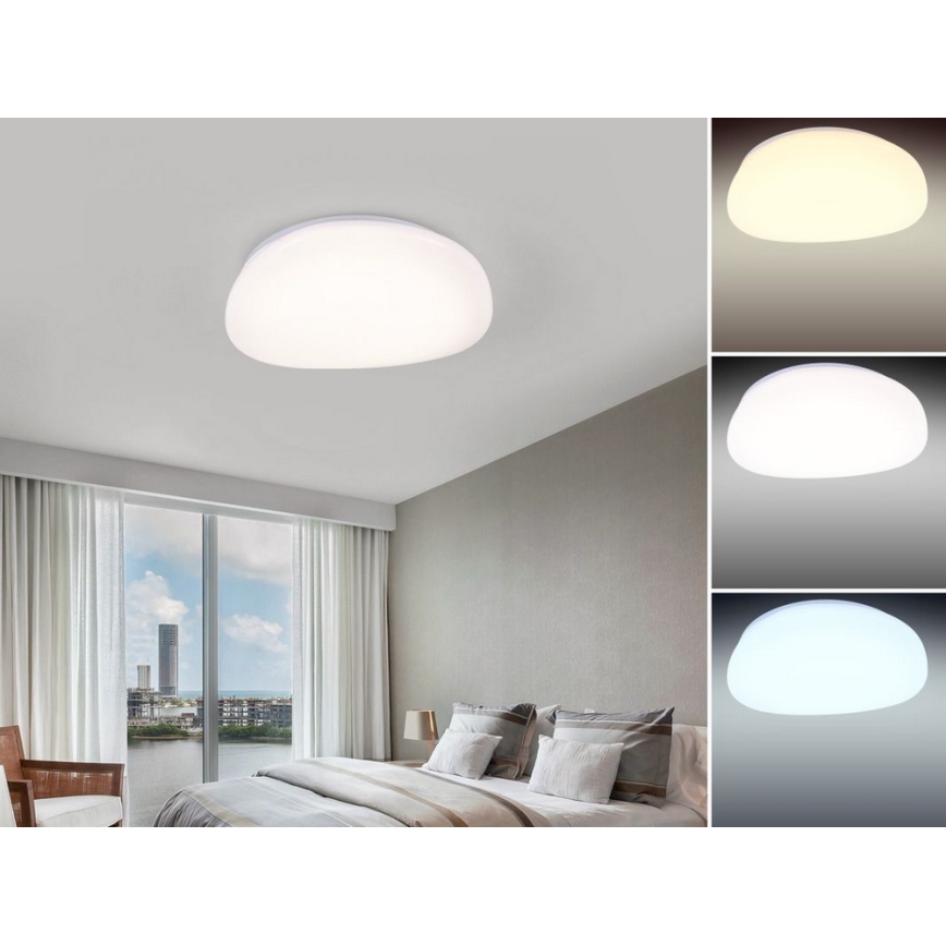 Nedes LC802K - LED Stmívatelné stropní svítidlo LED/60W/230V