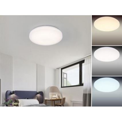 LED Stmívatelné stropní svítidlo OPAL LED/24W/176-264V + dálkové ovládání