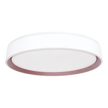 LED Stmívatelné stropní svítidlo s hlasovým ovládáním OPAL LED/48W/230V 2700-6500K bílá + dálkové ovládání