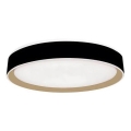 LED Stmívatelné stropní svítidlo s hlasovým ovládáním OPAL LED/48W/230V 2700-6500K černá + dálkové ovládání